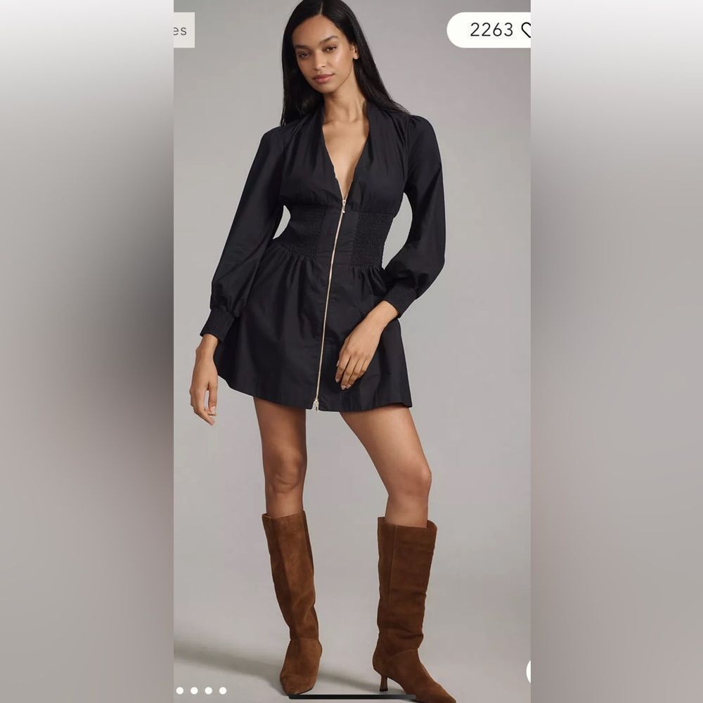 Anthropologie The Tommie Smocked Front-Zip Shirt Dress: Long-Sleeve Mini Edition